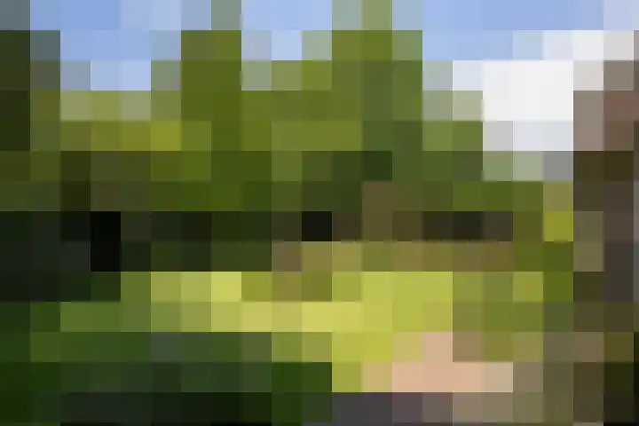 Hogenhof 37 Nijkerk thumbnail 34