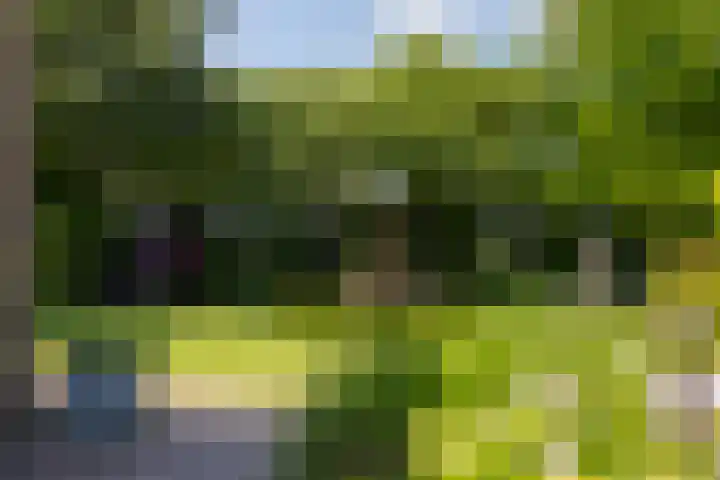Hogenhof 37 Nijkerk thumbnail 35