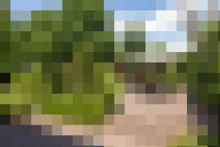 Hogenhof 37 Nijkerk thumbnail 37
