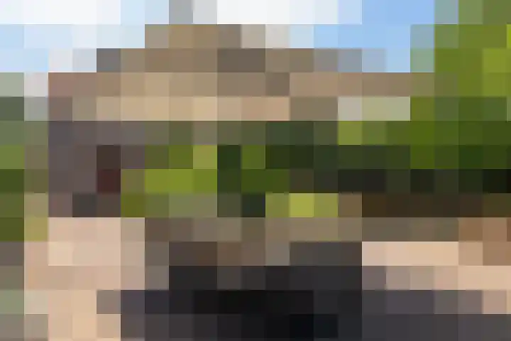 Hogenhof 37 Nijkerk thumbnail 39