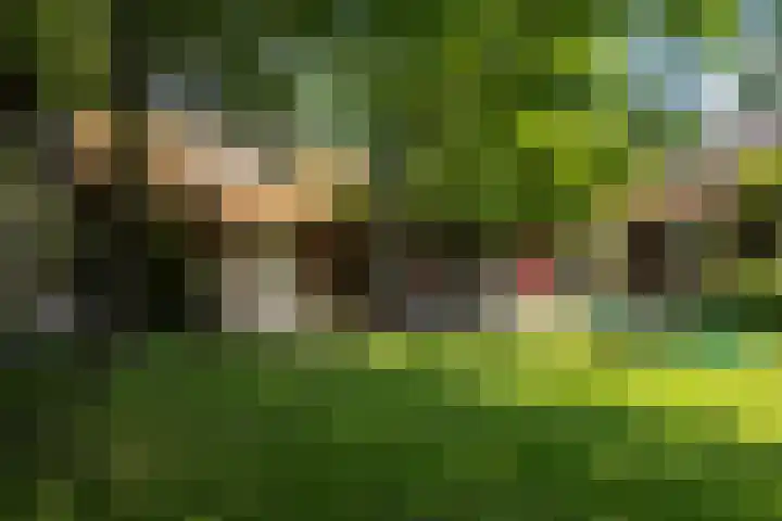 Hogenhof 37 Nijkerk thumbnail 41