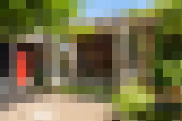 Hogenhof 37 Nijkerk thumbnail 42