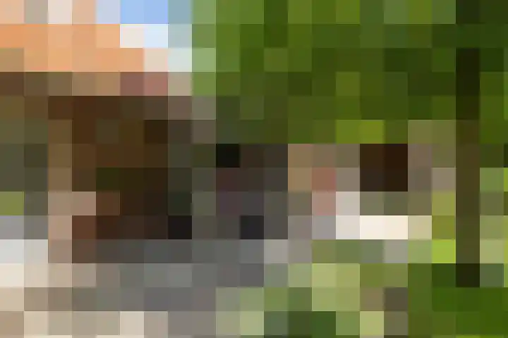 Hogenhof 37 Nijkerk thumbnail 43