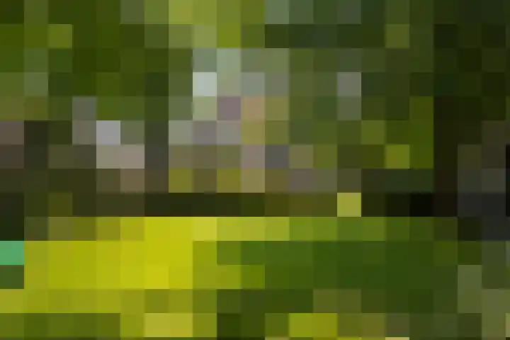 Hogenhof 37 Nijkerk thumbnail 46