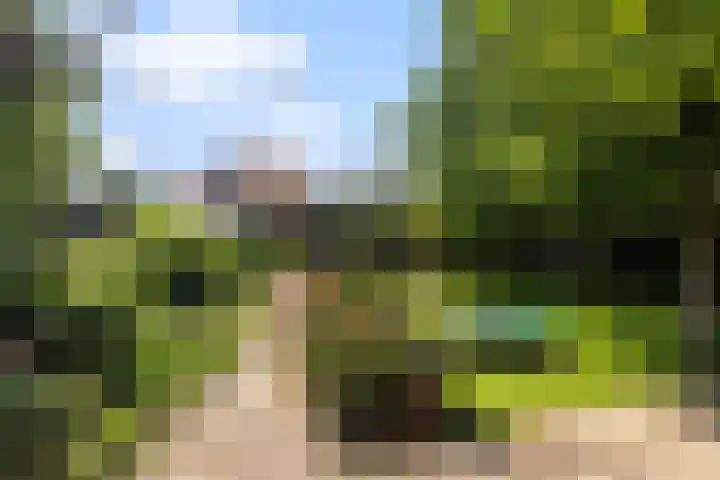 Hogenhof 37 Nijkerk thumbnail 47