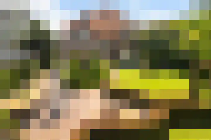 Hogenhof 37 Nijkerk thumbnail 52