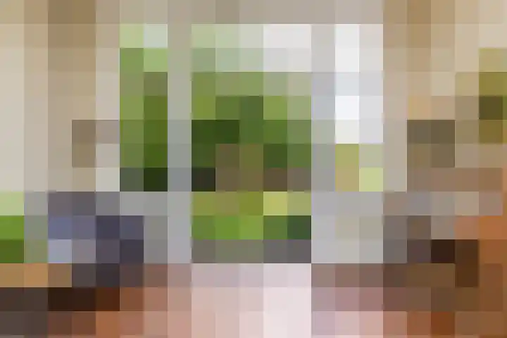 Hogenhof 37 Nijkerk thumbnail 9