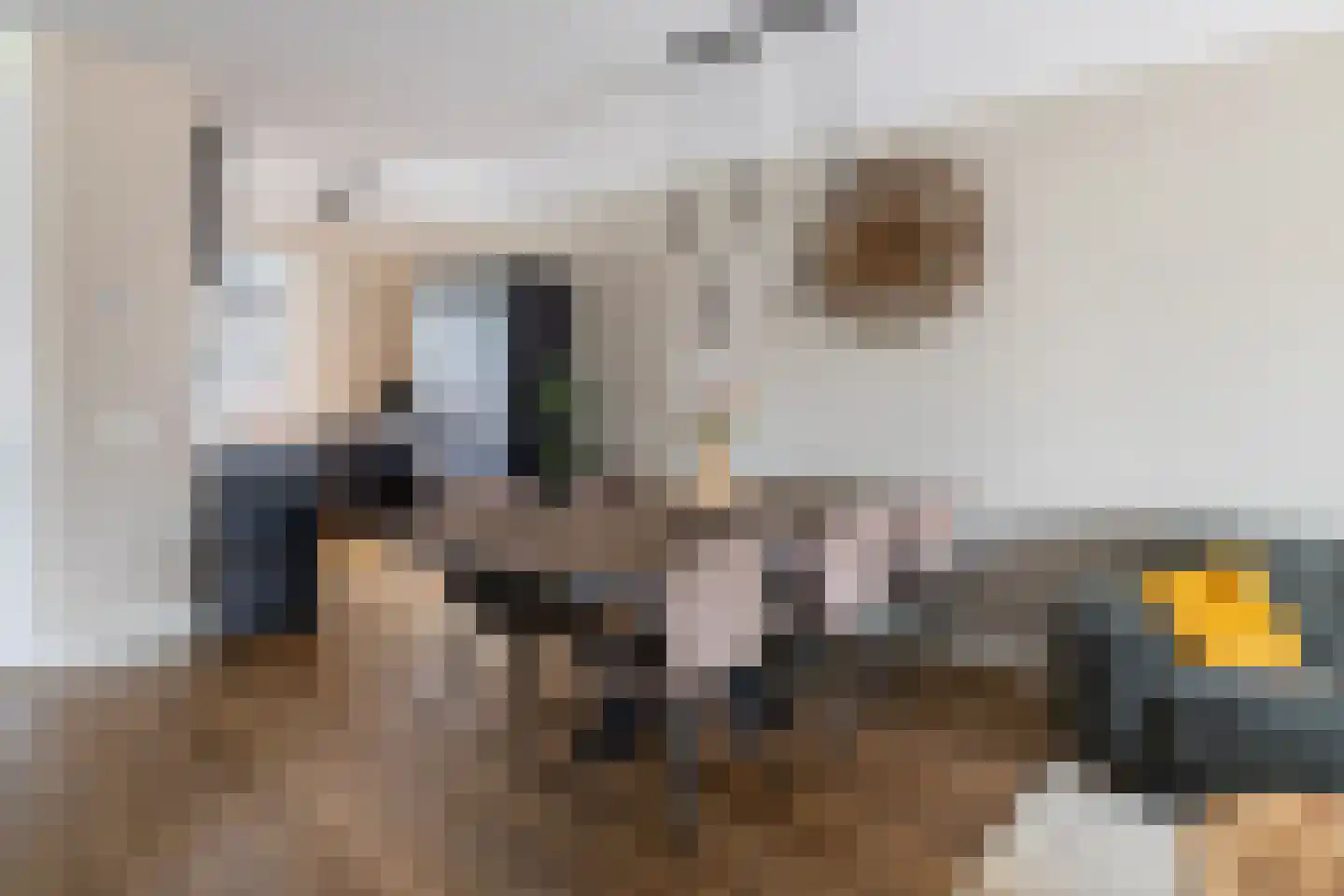 Hogenhof 47 Raalte thumbnail 10