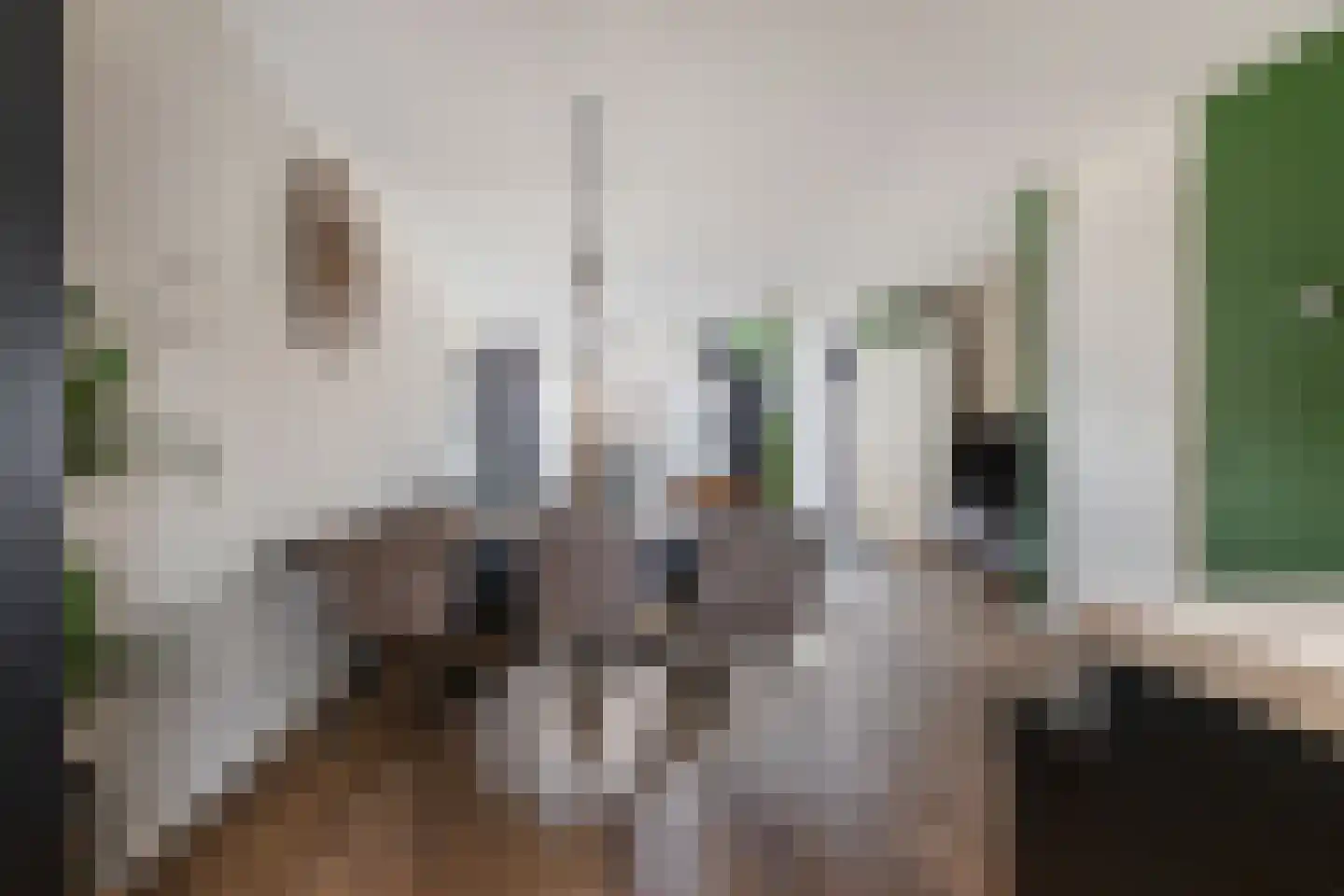 Hogenhof 47 Raalte thumbnail 11