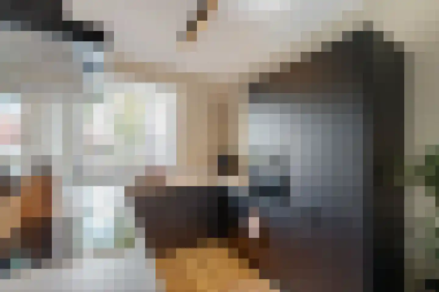 Hogenhof 47 Raalte thumbnail 13