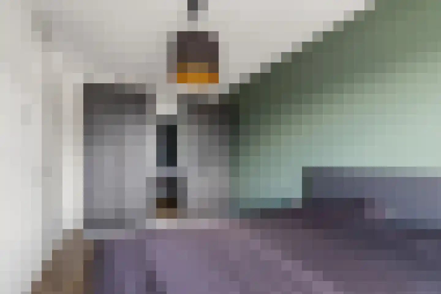 Hogenhof 47 Raalte thumbnail 18