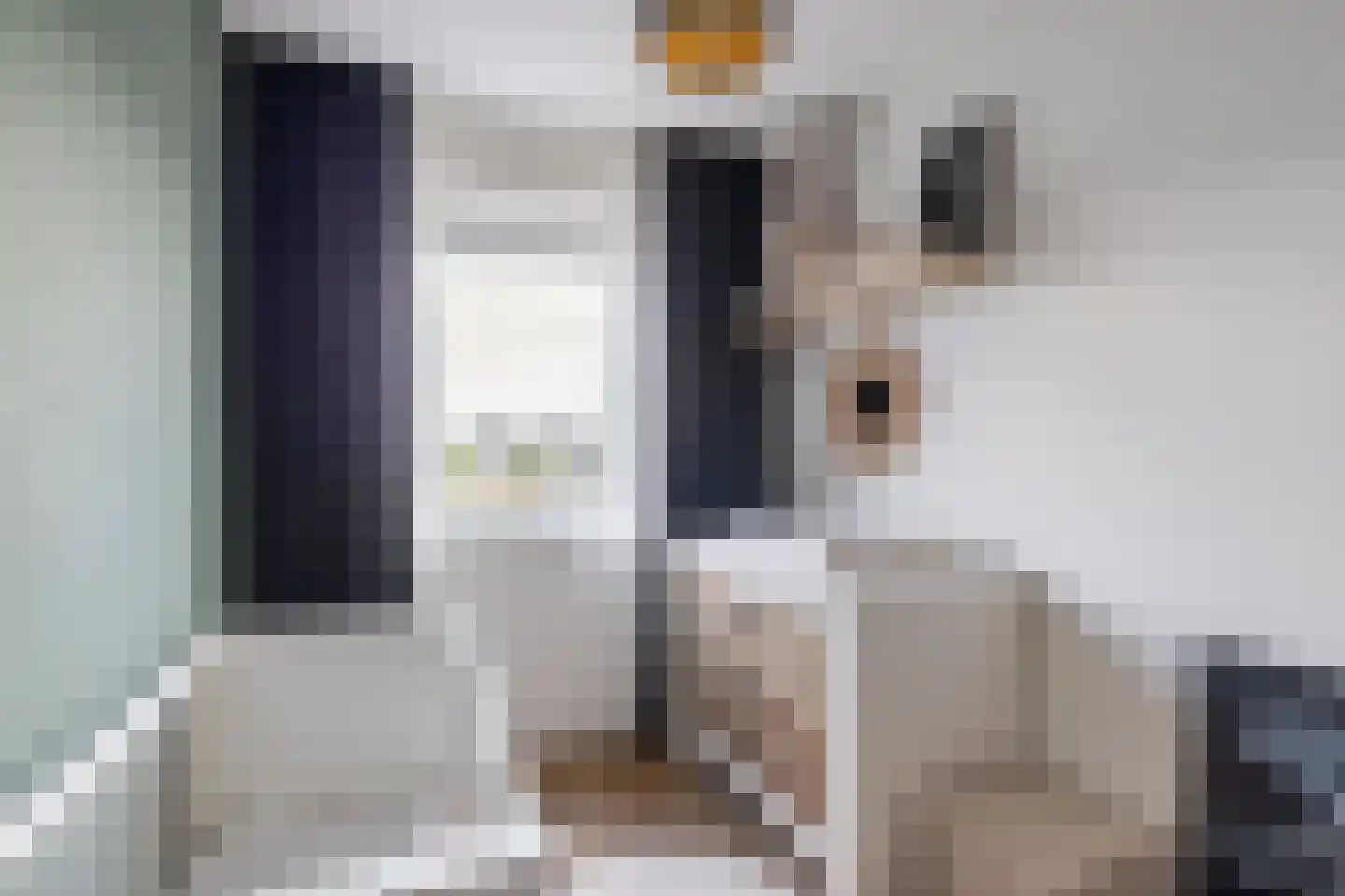 Hogenhof 47 Raalte thumbnail 19