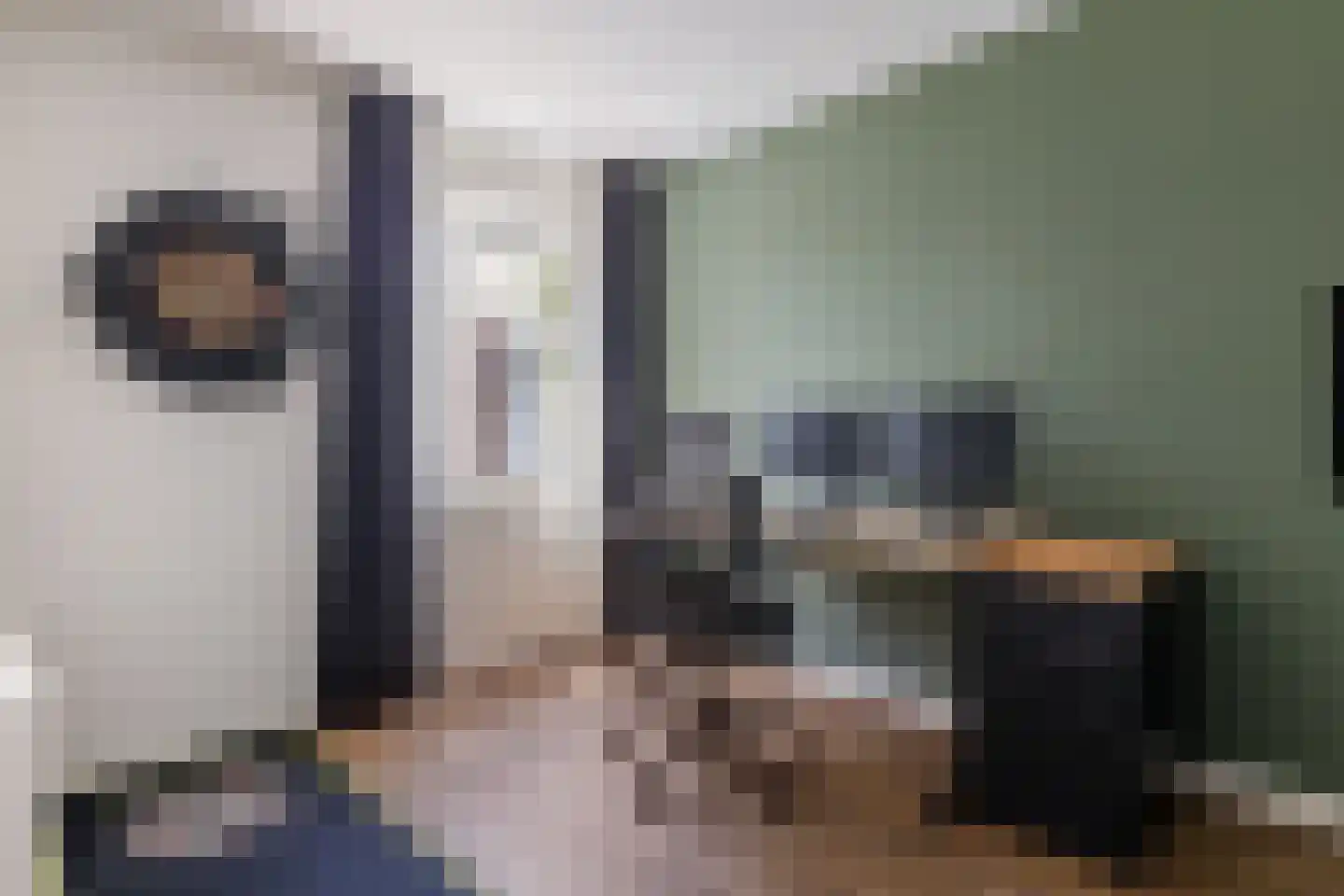 Hogenhof 47 Raalte thumbnail 20