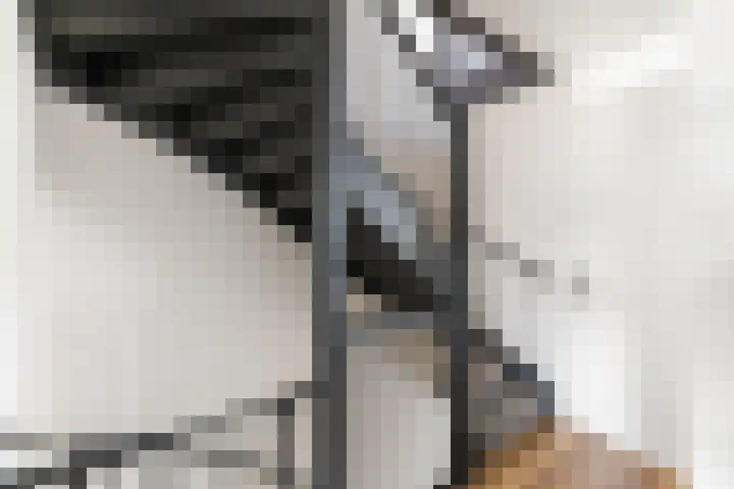 Hogenhof 47 Raalte thumbnail 26