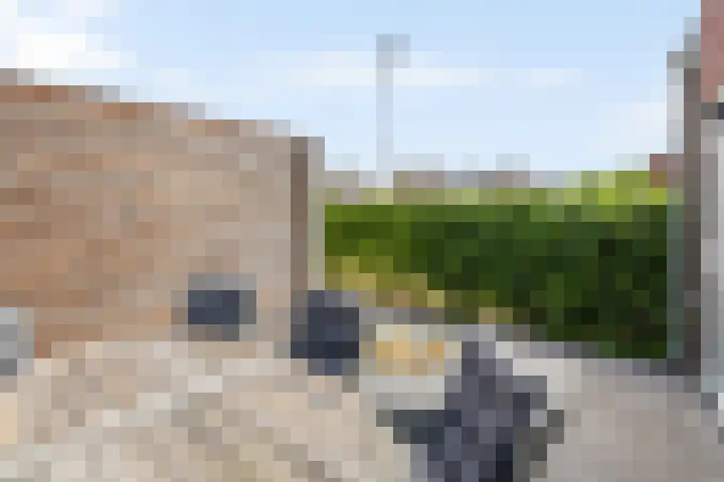 Hogenhof 47 Raalte thumbnail 30