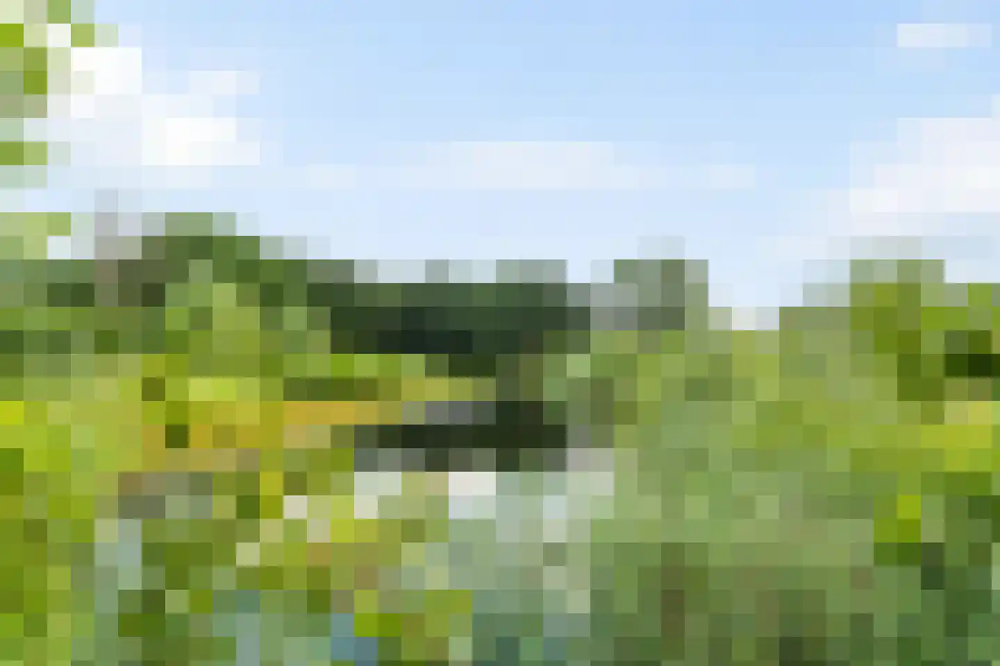 Hogenhof 47 Raalte thumbnail 34