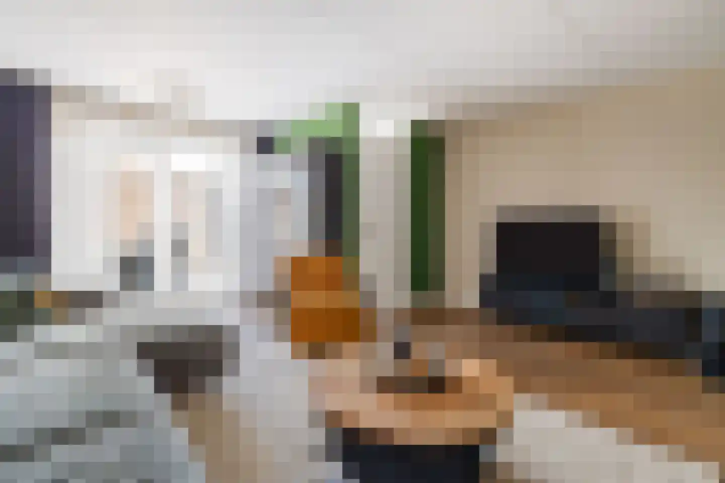 Hogenhof 47 Raalte thumbnail 5