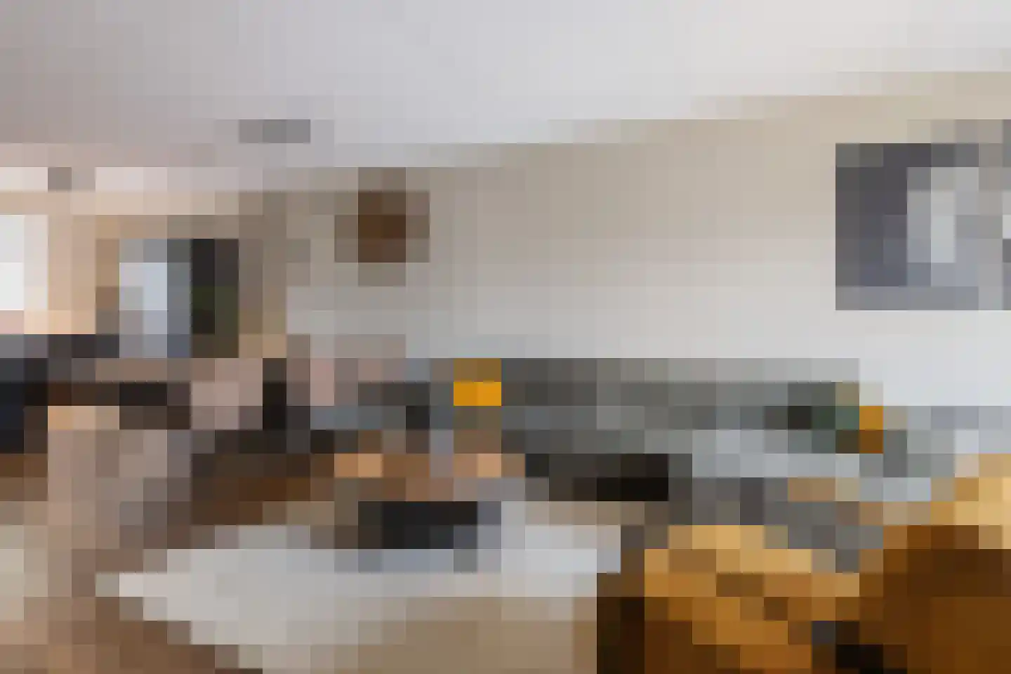 Hogenhof 47 Raalte thumbnail 8