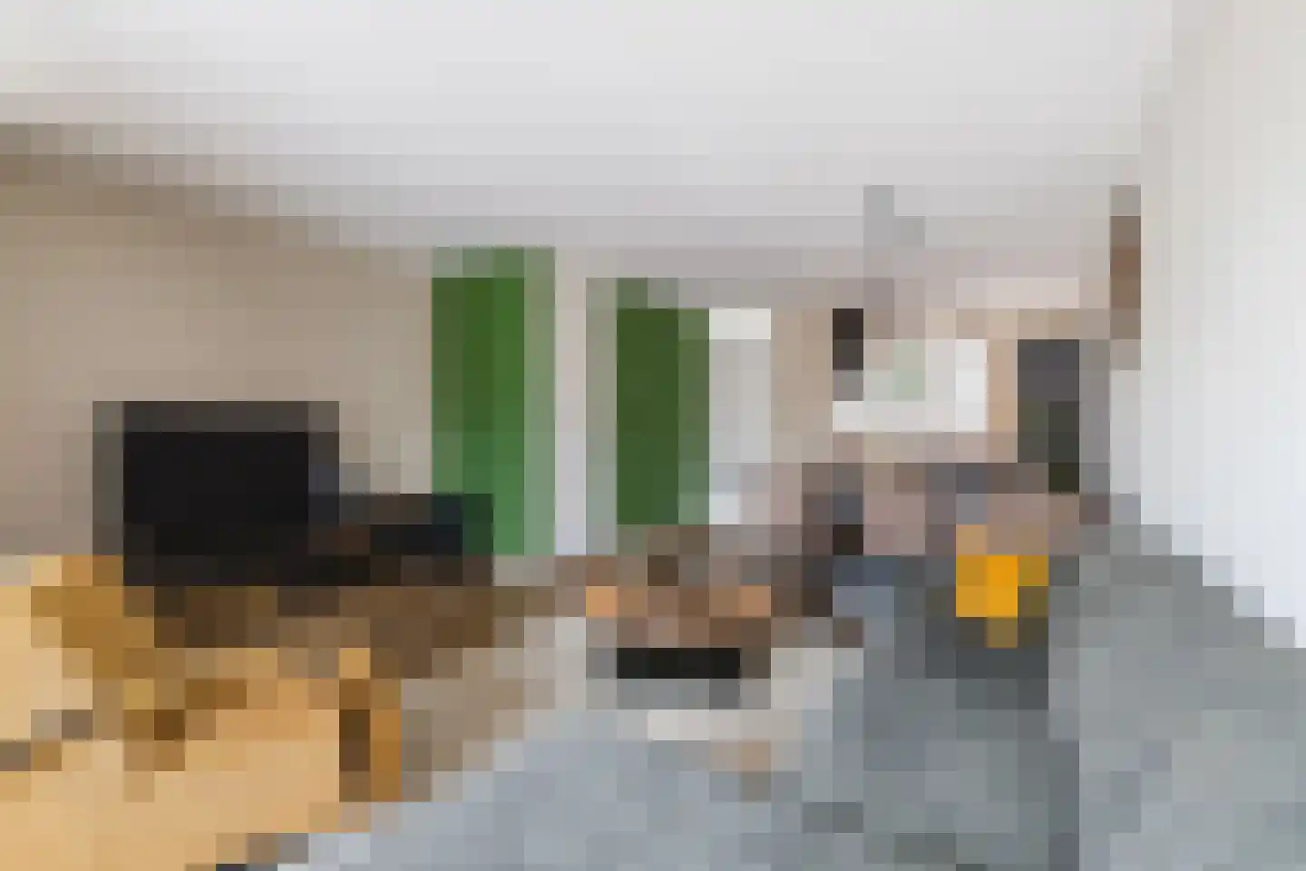 Hogenhof 47 Raalte thumbnail 9