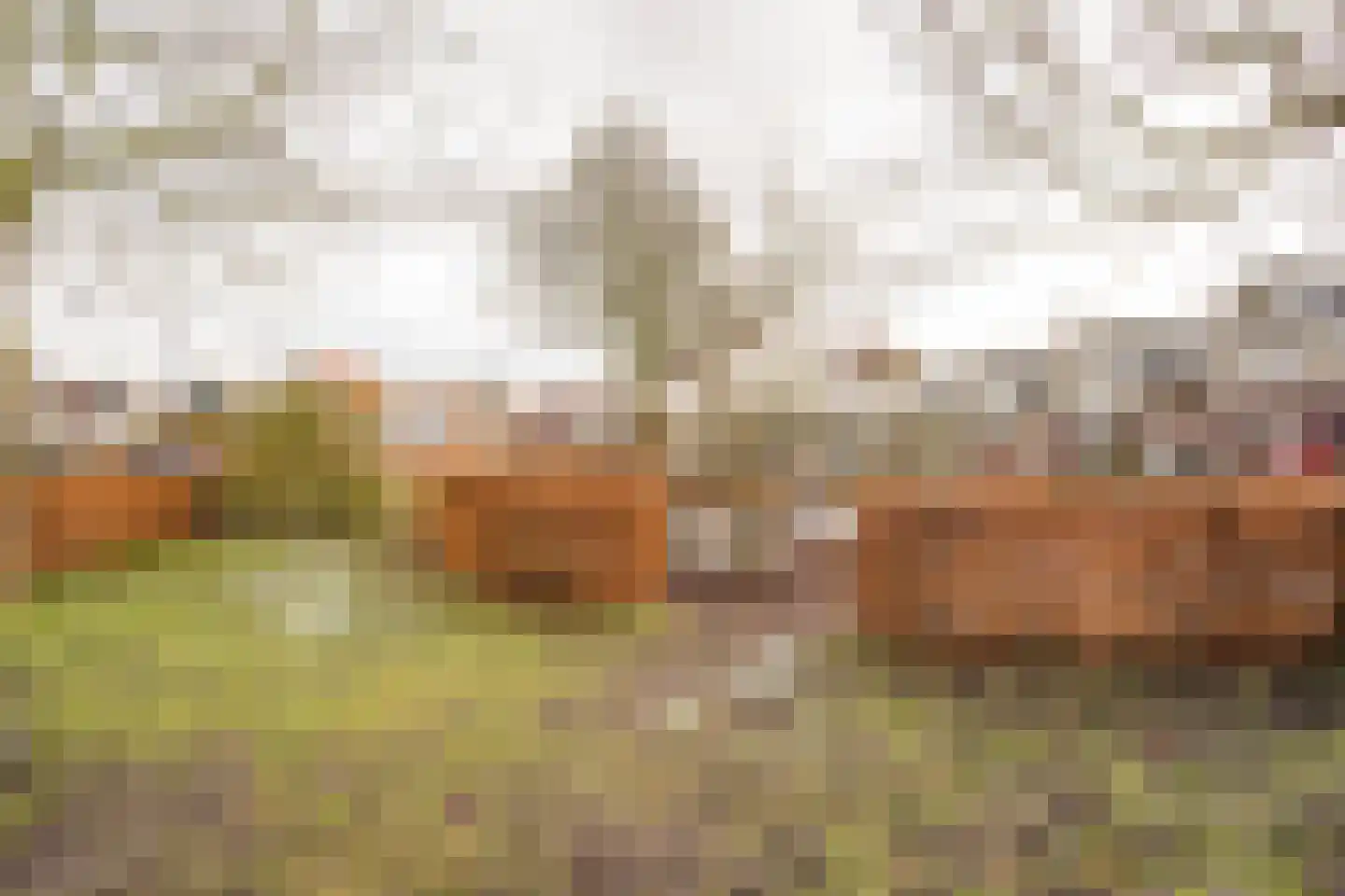 Hogenhof 56 Nijkerk thumbnail 35