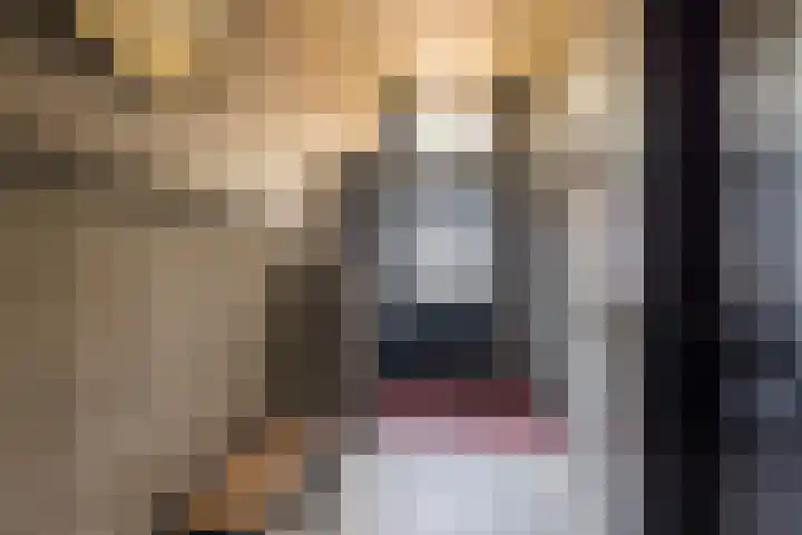 Hogenhof 9 Nijkerk thumbnail 13
