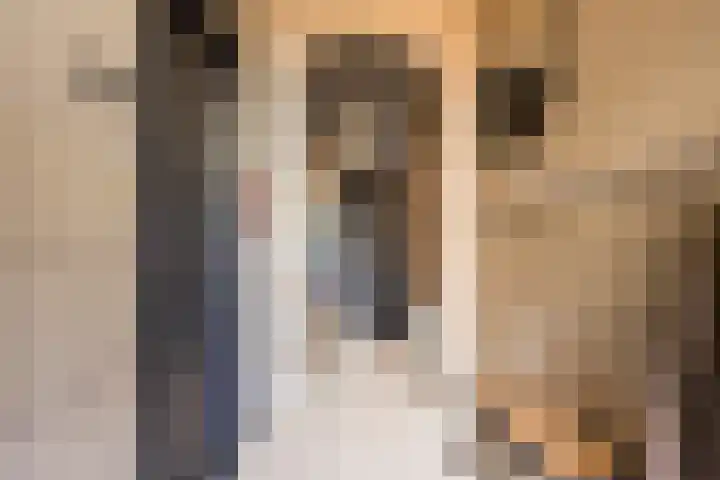 Hogenhof 9 Nijkerk thumbnail 14
