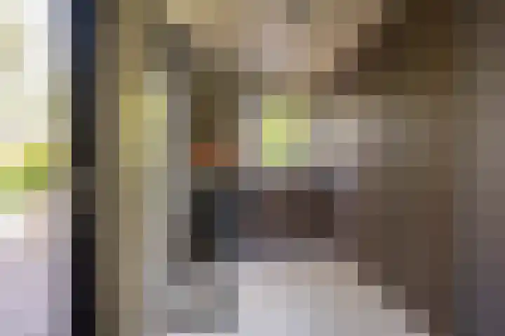 Hogenhof 9 Nijkerk thumbnail 21