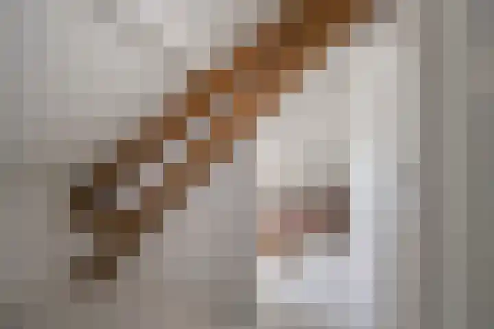 Hogenhof 9 Nijkerk thumbnail 38