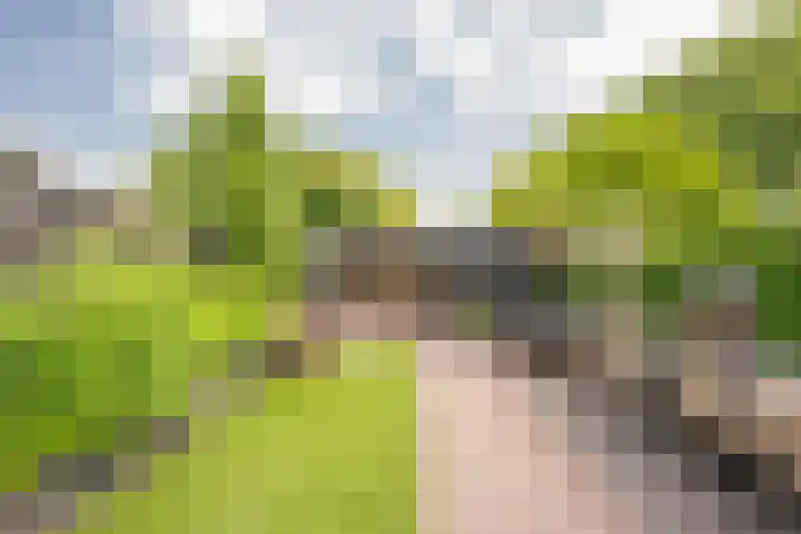 Hogenhof 9 Nijkerk thumbnail 4
