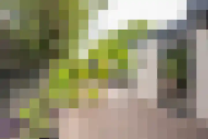 Hogenhof 9 Nijkerk thumbnail 6