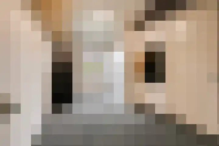 Hogenhofstraat 10 Zwolle thumbnail 17
