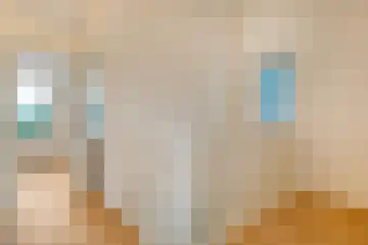 Hogenhofstraat 10 Zwolle thumbnail 31