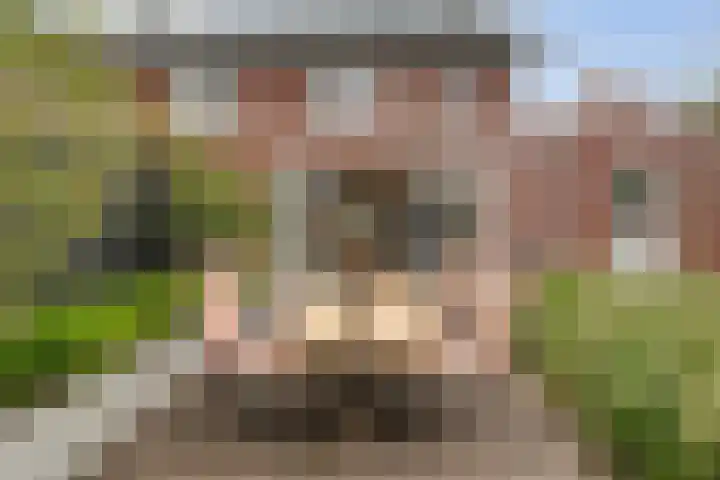 Hogenhofstraat 10 Zwolle thumbnail 41