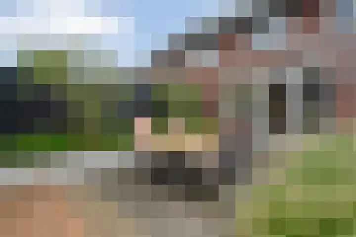 Hogenhofstraat 10 Zwolle thumbnail 43