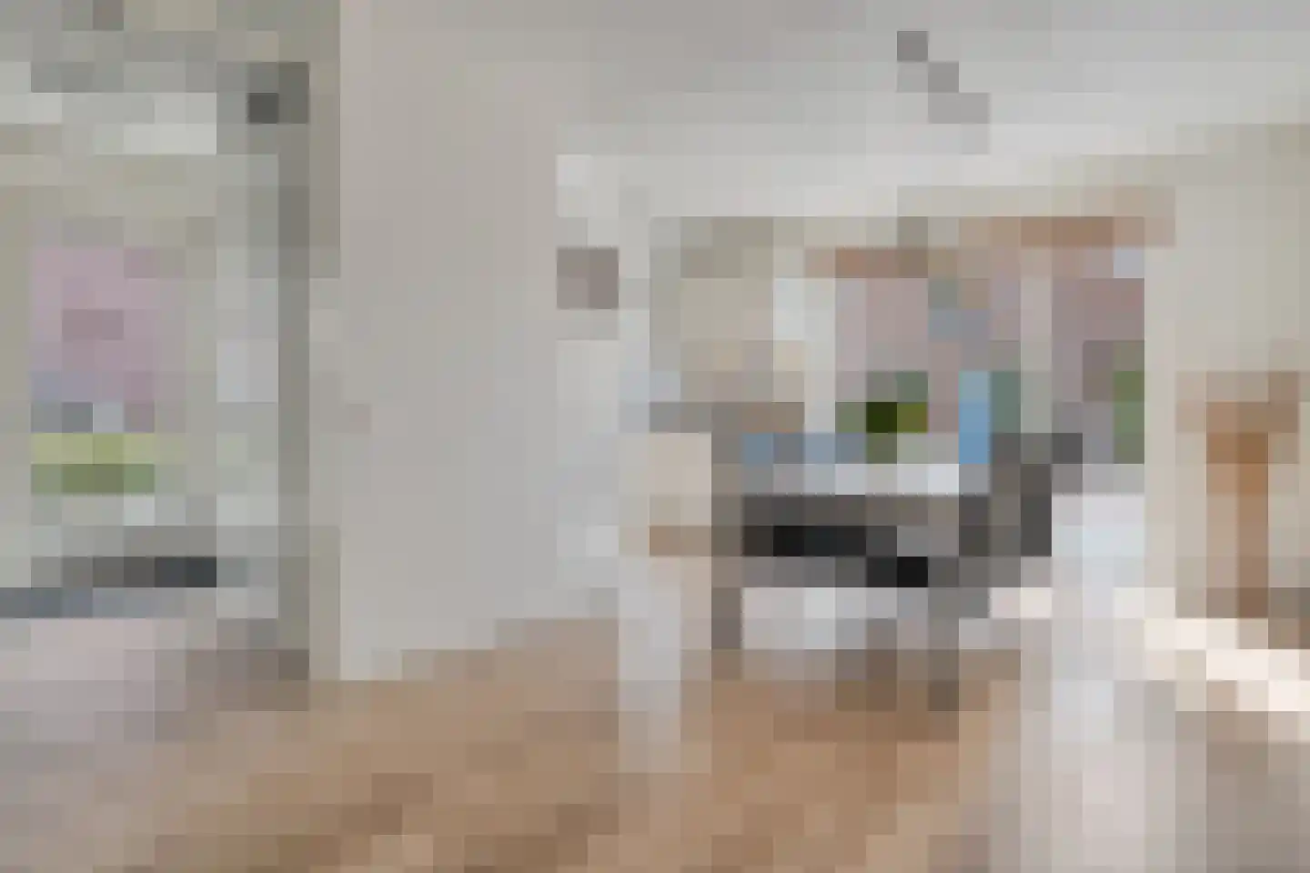 Hogenhofstraat 4 Zwolle thumbnail 10