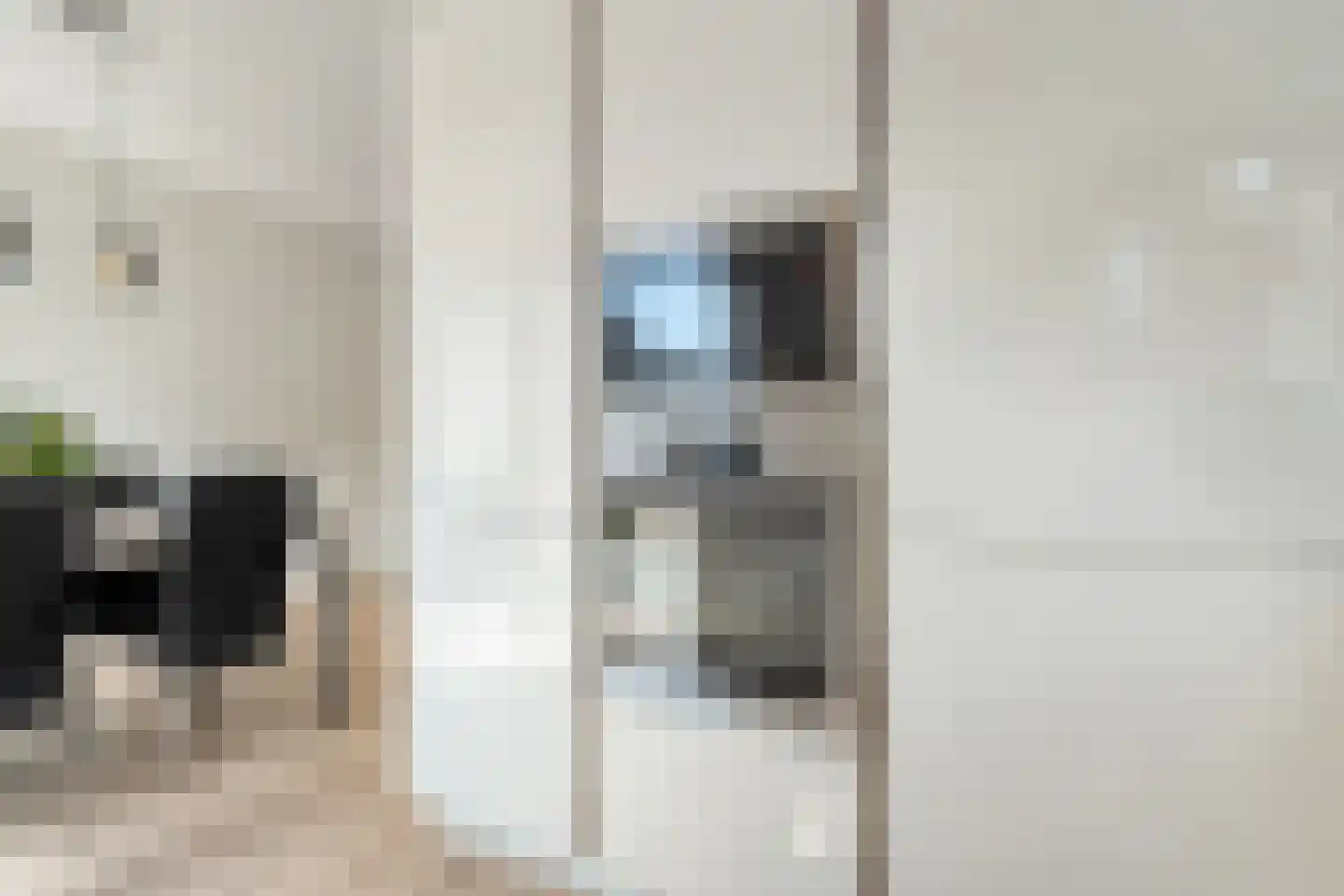 Hogenhofstraat 4 Zwolle thumbnail 13