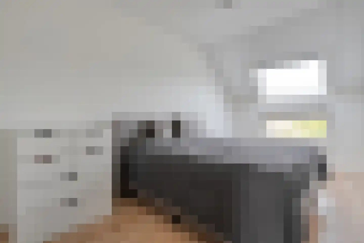 Hogenhofstraat 4 Zwolle thumbnail 18