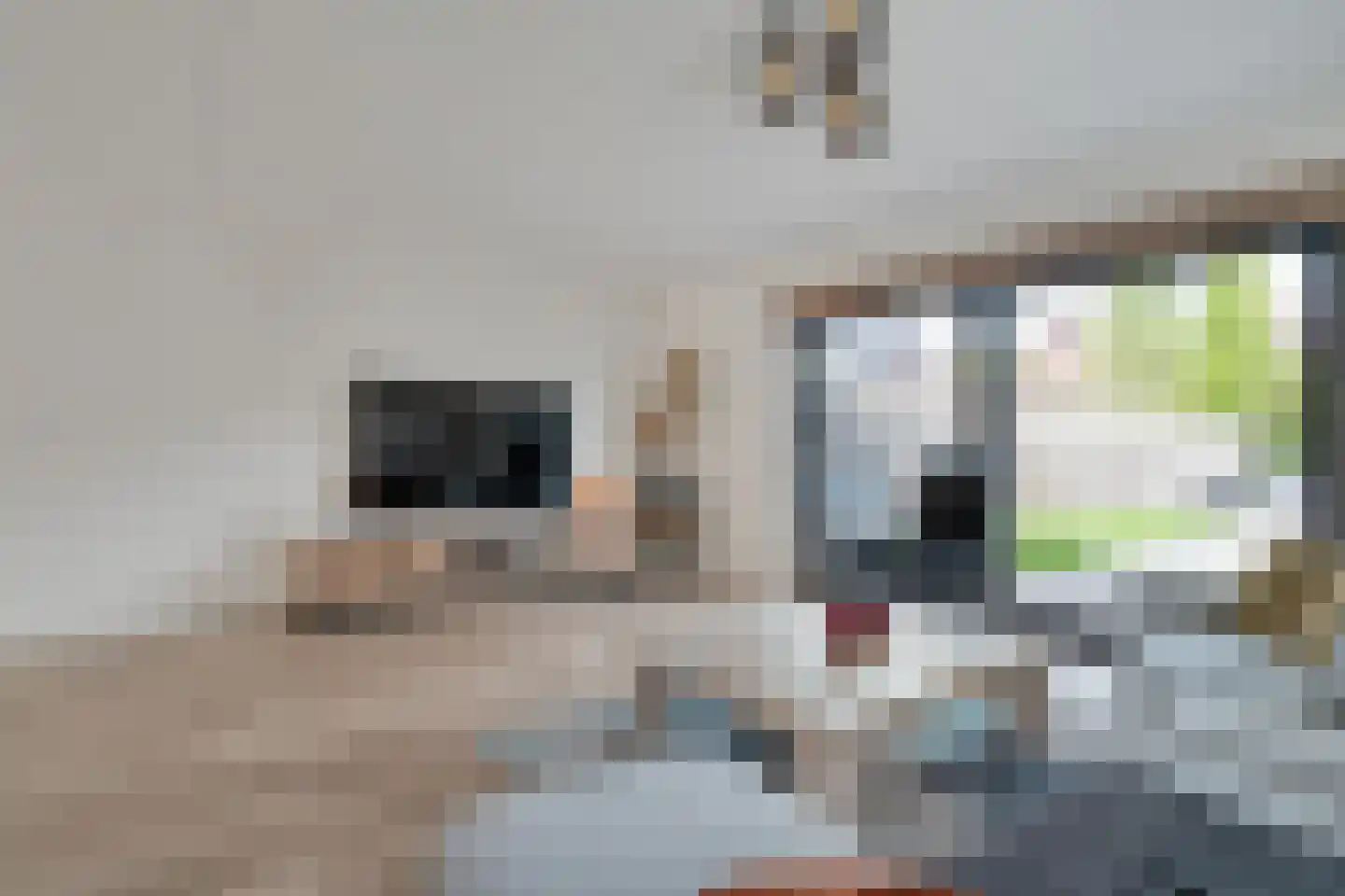 Hogenhofstraat 4 Zwolle thumbnail 5