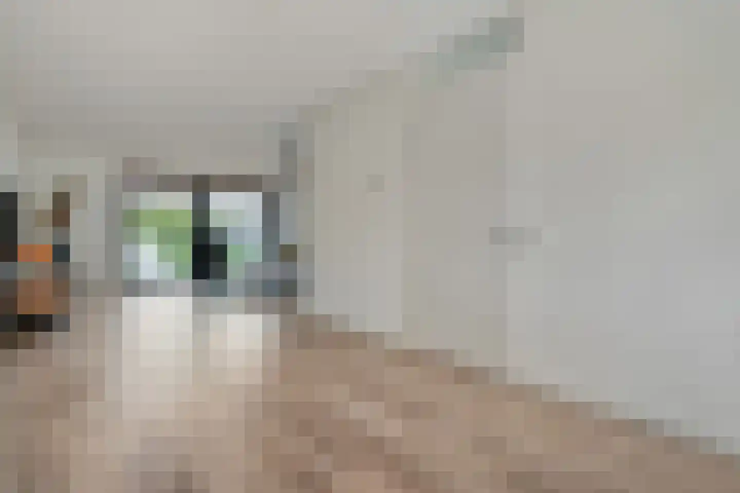 Hogenhofstraat 4 Zwolle thumbnail 8