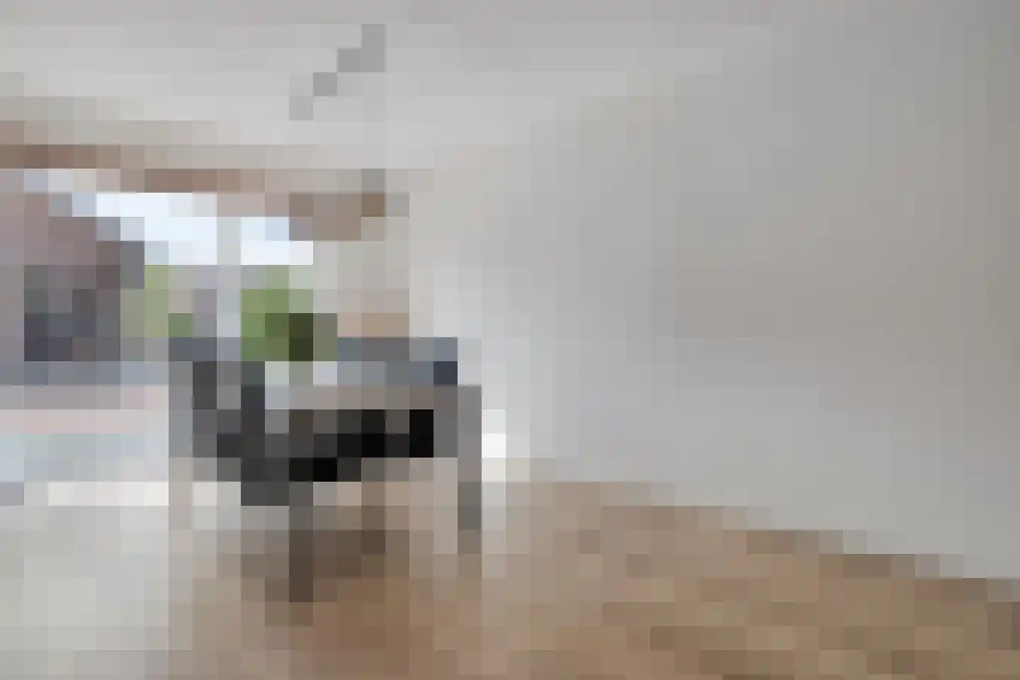 Hogenhofstraat 4 Zwolle thumbnail 9
