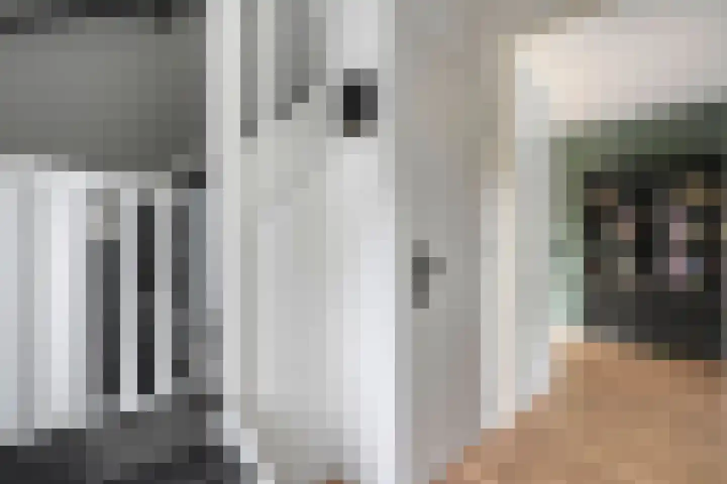 Hogenhofstraat 8 Zwolle thumbnail 12