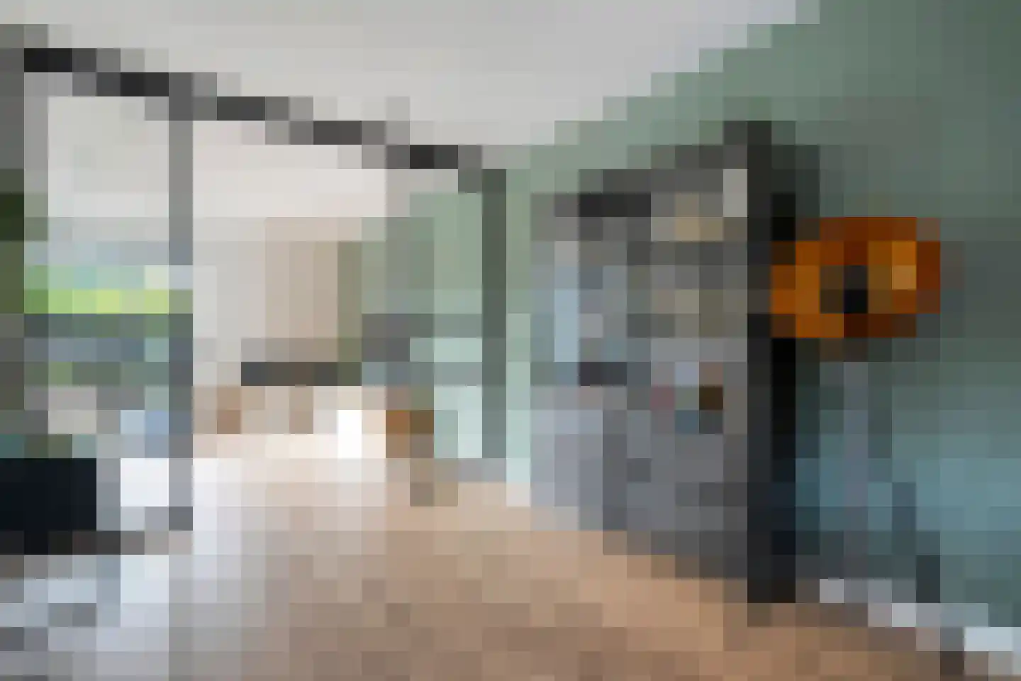 Hogenhofstraat 8 Zwolle thumbnail 13