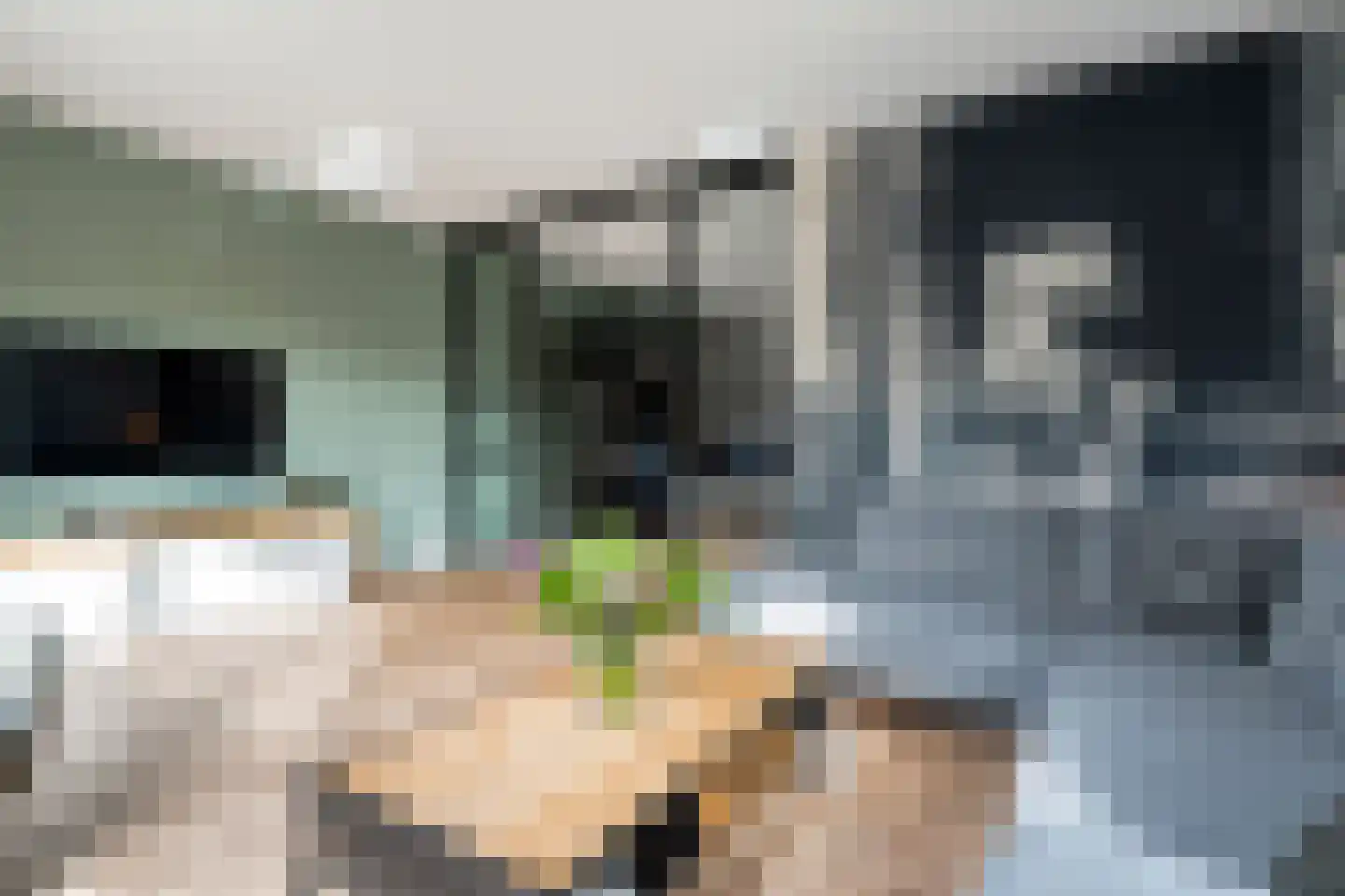 Hogenhofstraat 8 Zwolle thumbnail 18