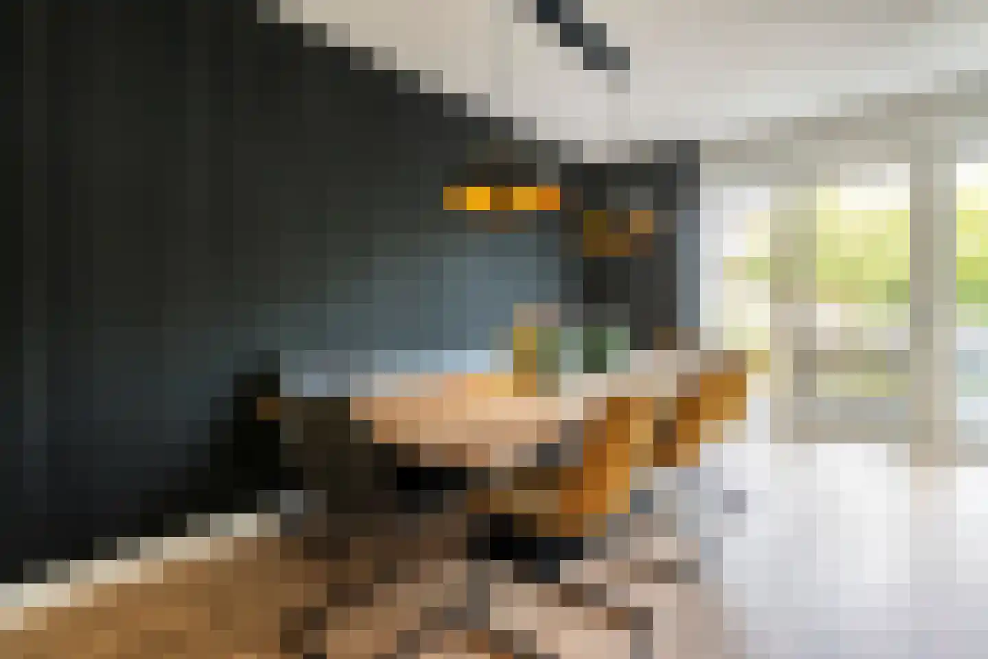 Hogenhofstraat 8 Zwolle thumbnail 20