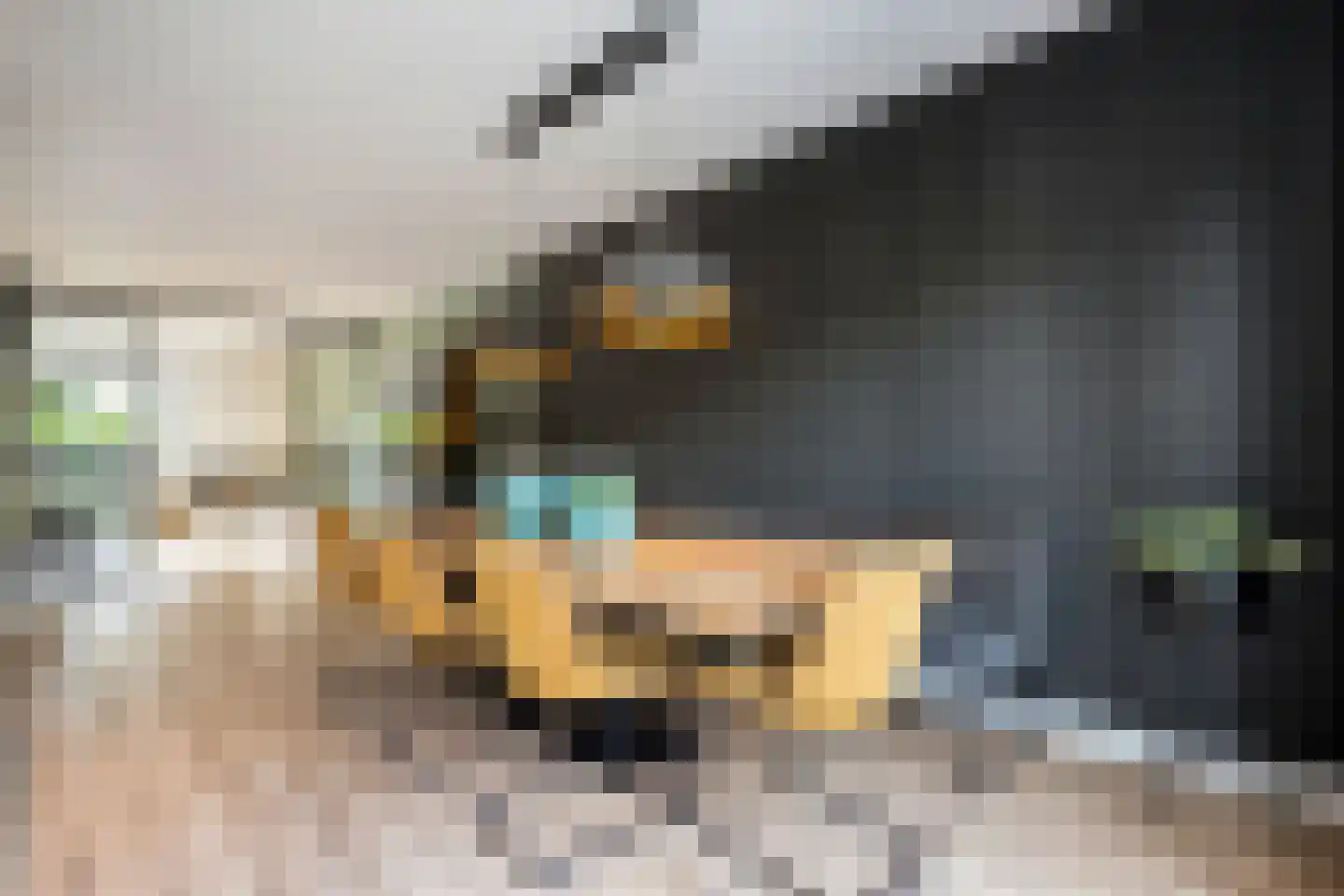Hogenhofstraat 8 Zwolle thumbnail 21