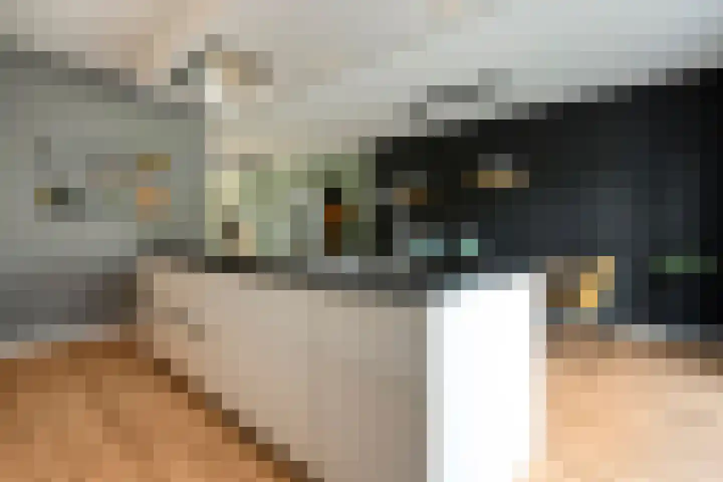 Hogenhofstraat 8 Zwolle thumbnail 25