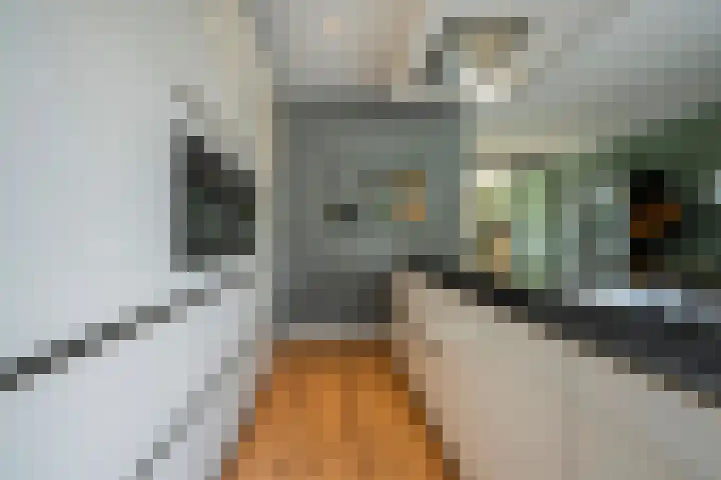 Hogenhofstraat 8 Zwolle thumbnail 26
