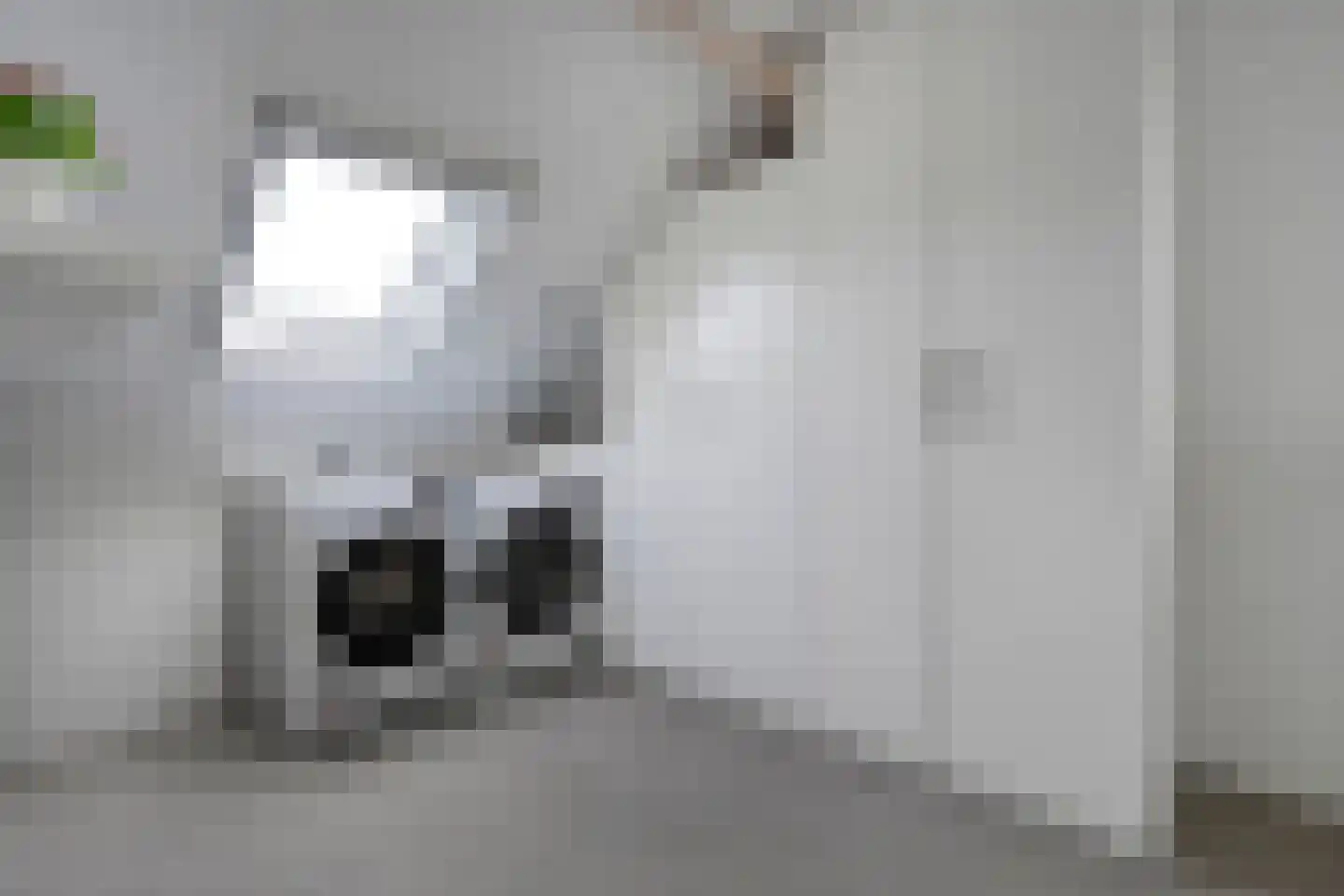 Hogenhofstraat 8 Zwolle thumbnail 41