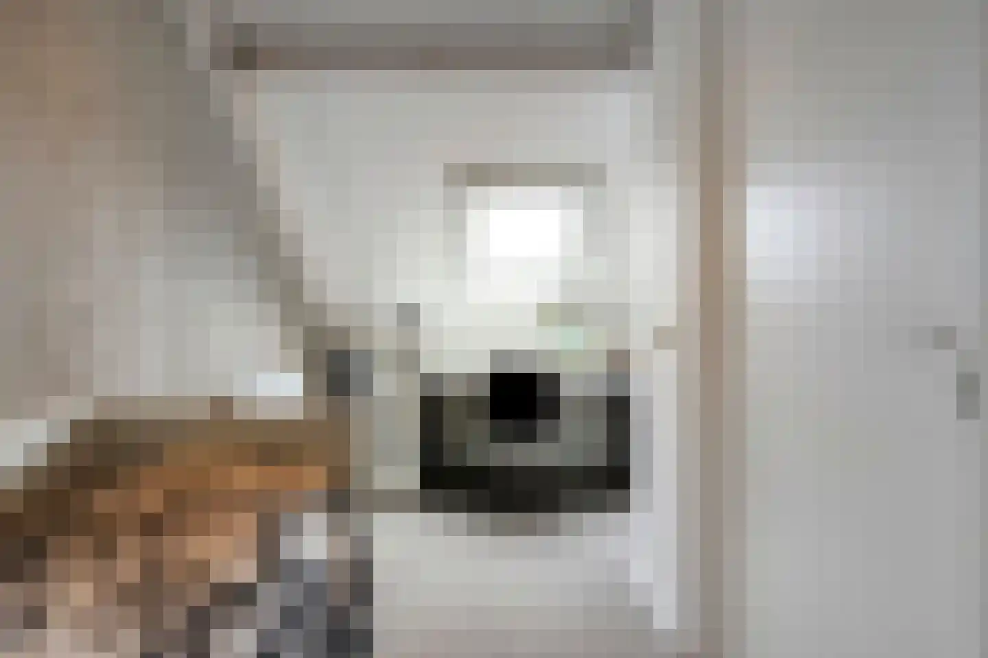 Hogenhofstraat 8 Zwolle thumbnail 43
