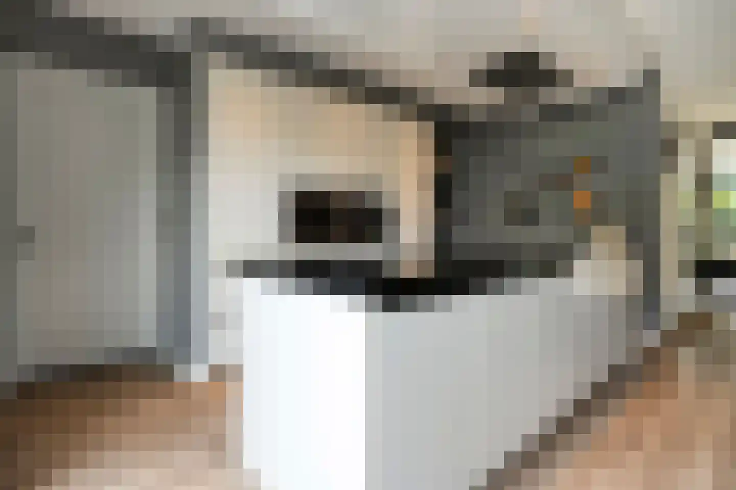 Hogenhofstraat 8 Zwolle thumbnail 5